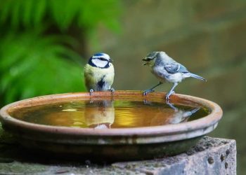 Warum Dialog so wichtig ist