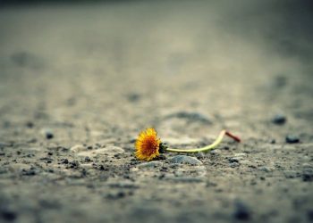 Trauerbesuch bei einer muslimischen Familie