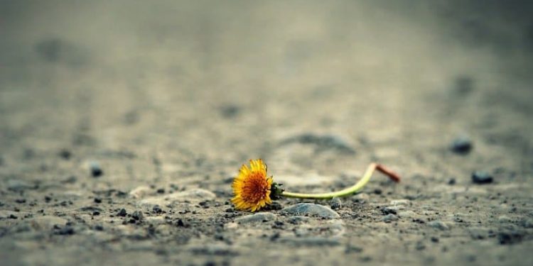 Trauerbesuch bei einer muslimischen Familie Trauerbesuch bei einer muslimischen Familie