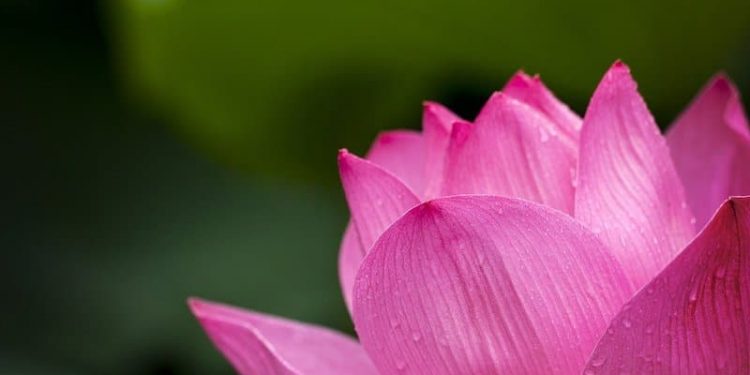 Ramadanfreundschaften Ramadanfreundschaften