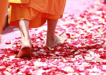 Der Buddhismus im Überblick