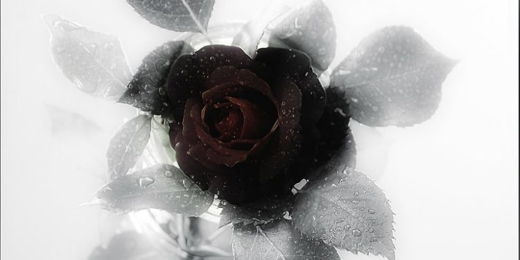 Beileidbekundung für die Angehörigen der Terroropfer