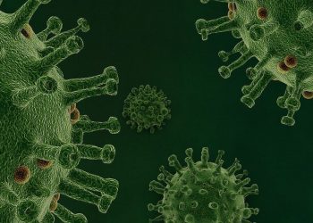 Die historischen Ratschläge des Propheten gegen die Pandemie