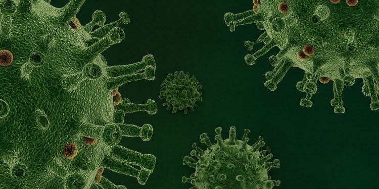 Die historischen Ratschläge des Propheten gegen die Pandemie Die historischen Ratschläge des Propheten gegen die Pandemie