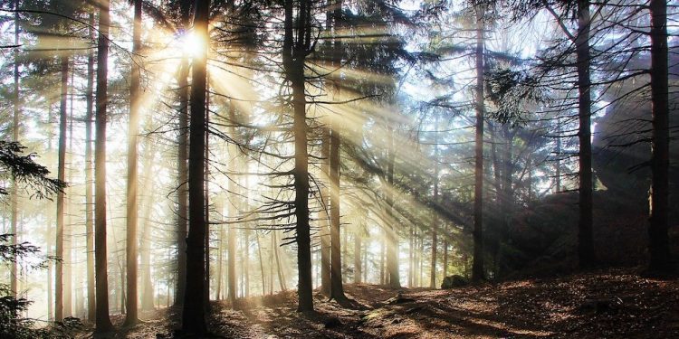 Der Mensch im Lichtspektrum Der Mensch im Lichtspektrum