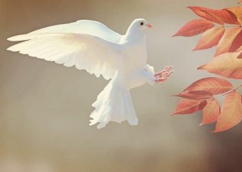 Das Friedensabkommen von Hudaibiya