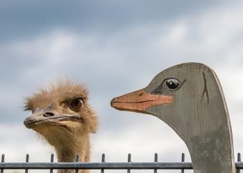 Der Analogieschluss (Qiyâs)