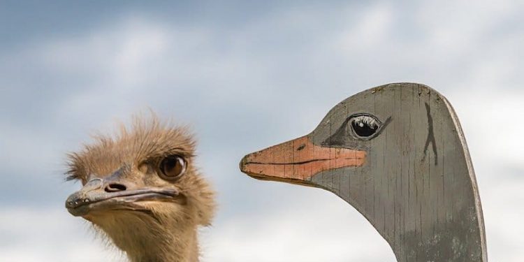 Der Analogieschluss (Qiyâs) Der Analogieschluss (Qiyâs)